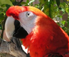 Posted Image